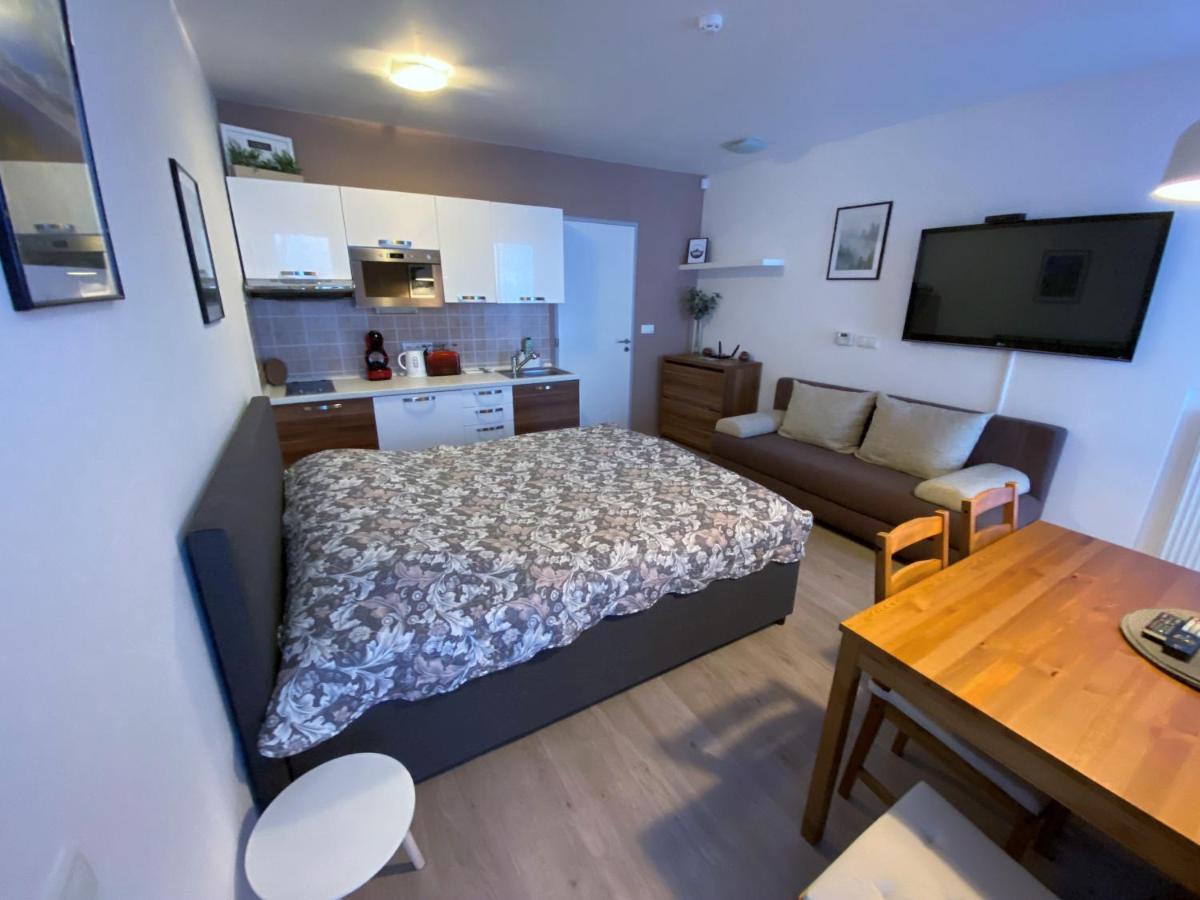 Miky Apartmán Klínovec meadow Loučná pod Klínovcem Exterior foto